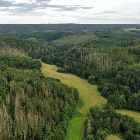 Muehlberg 4 Braunschwende
